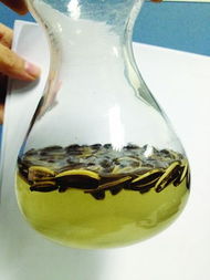 紅茶綠茶奶香 瓜子 高富帥 泡半小時就變土鱉