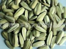 五香瓜子 傳統(tǒng)工藝與品質(zhì)保證的完美結(jié)合